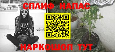 сатива Тверь